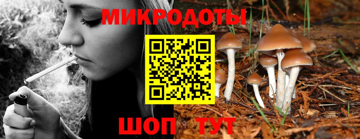 Орёл  Псилоцибиновые грибы MAGIC MUSHROOMS  Псилоцибиновые грибы Psilocybine cubensis  Вход с VPN 