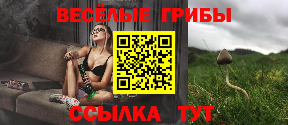 Псилоцибиновые грибы мицелий Орёл